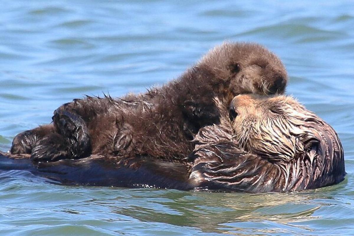 2枚目の観光スポット・アクティビティの写真