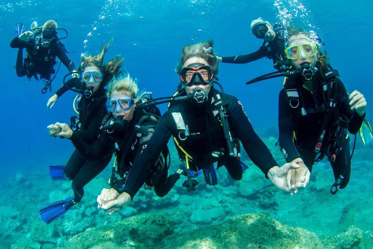 skupina ľudí potápajúcich sa scuba v oceáne