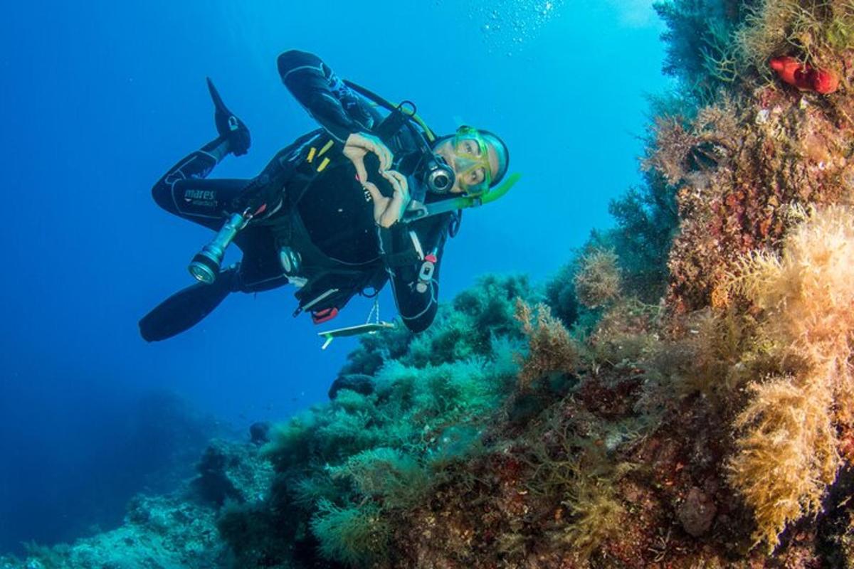 osoba v neoprene sa potápa v oceáne