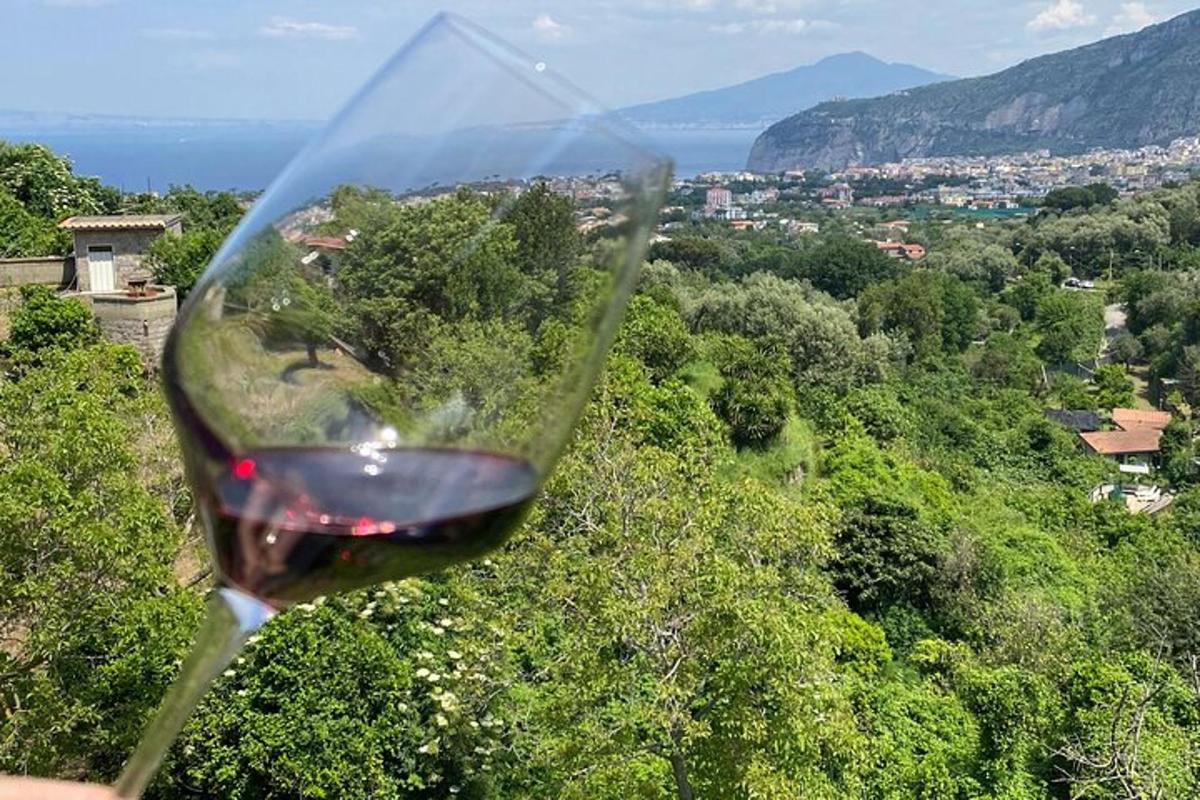 oseba, ki drži kozarec rdečega vina