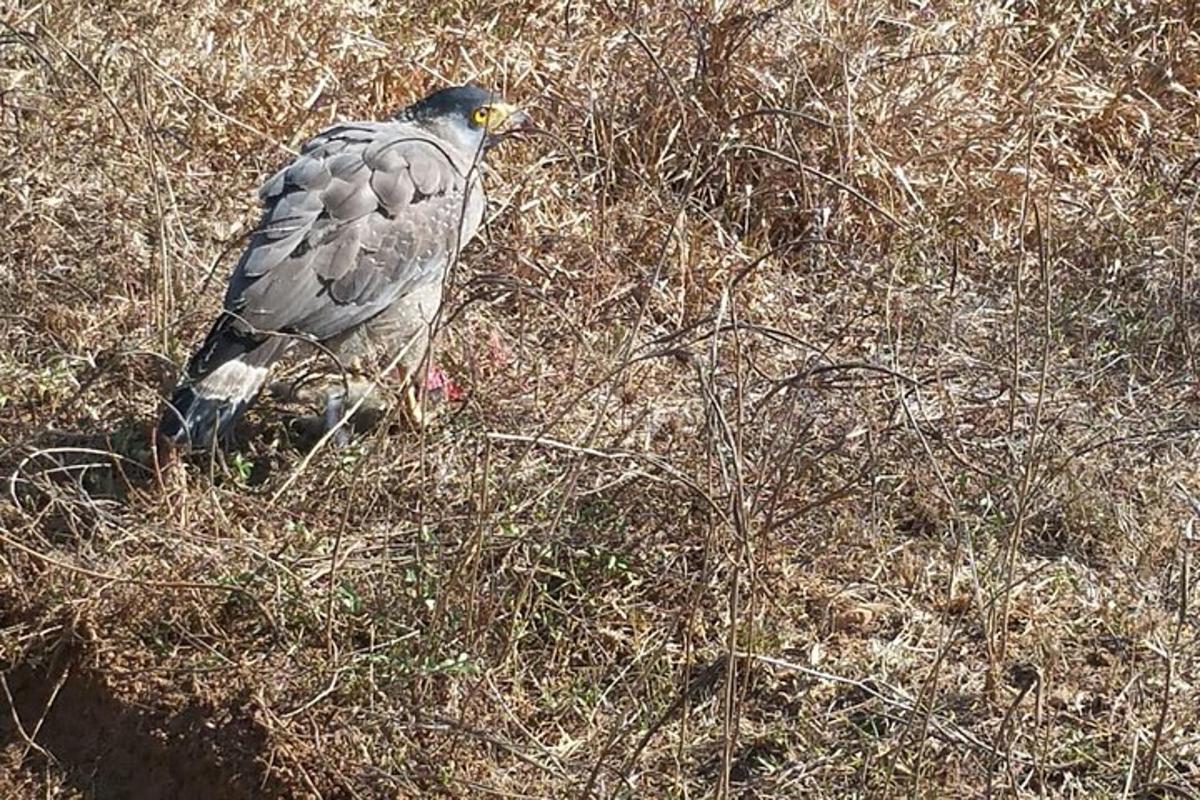 Lankytinos vietos ar pramogos nuotrauka numeris 3