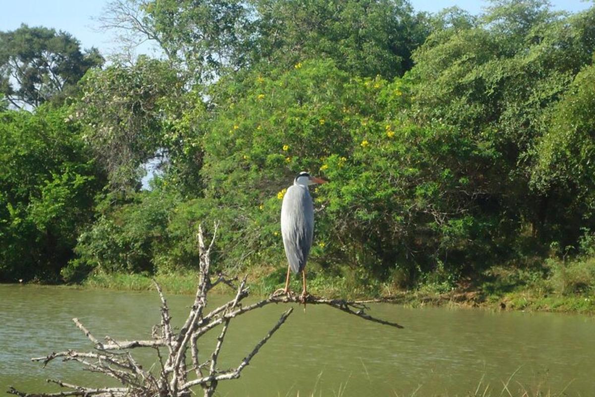 7 foto atraksi wisata