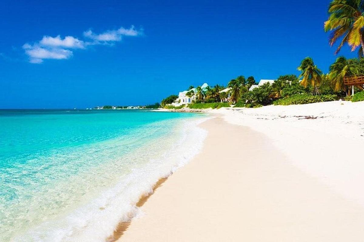 en hvit strand med palmer og blått vann