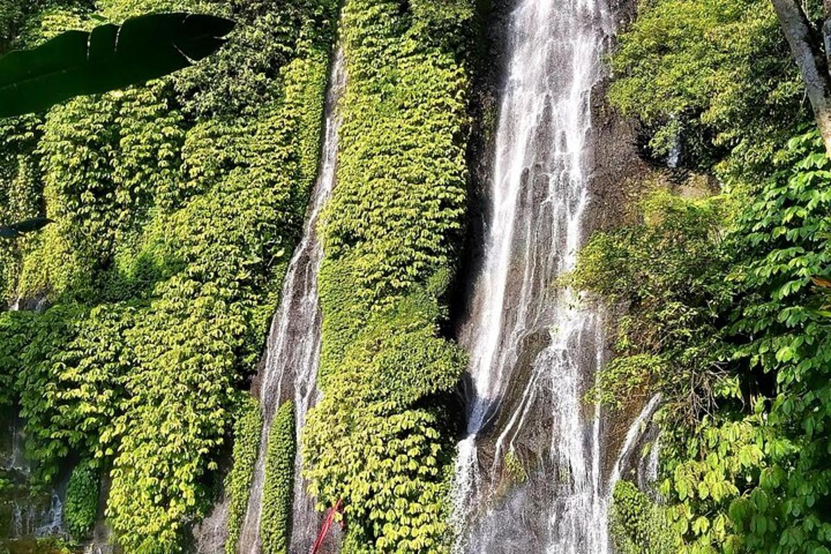 Menschen stehen vor einem Wasserfall im Wald