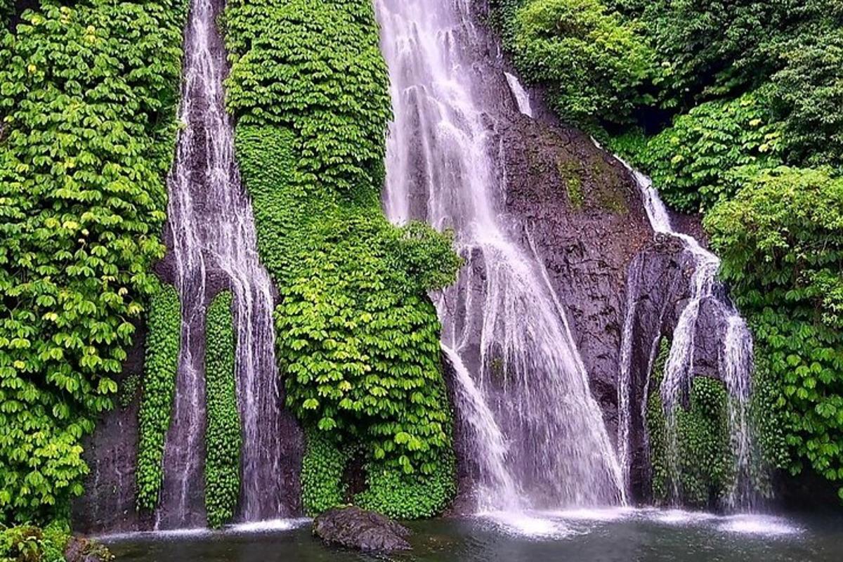 una cascata in mezzo a una foresta con acqua