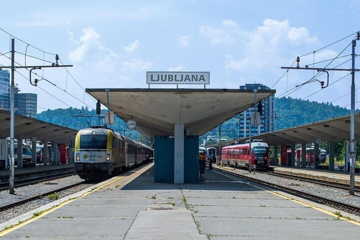 vlaková stanica s dvoma vlakmi na koľajniciach