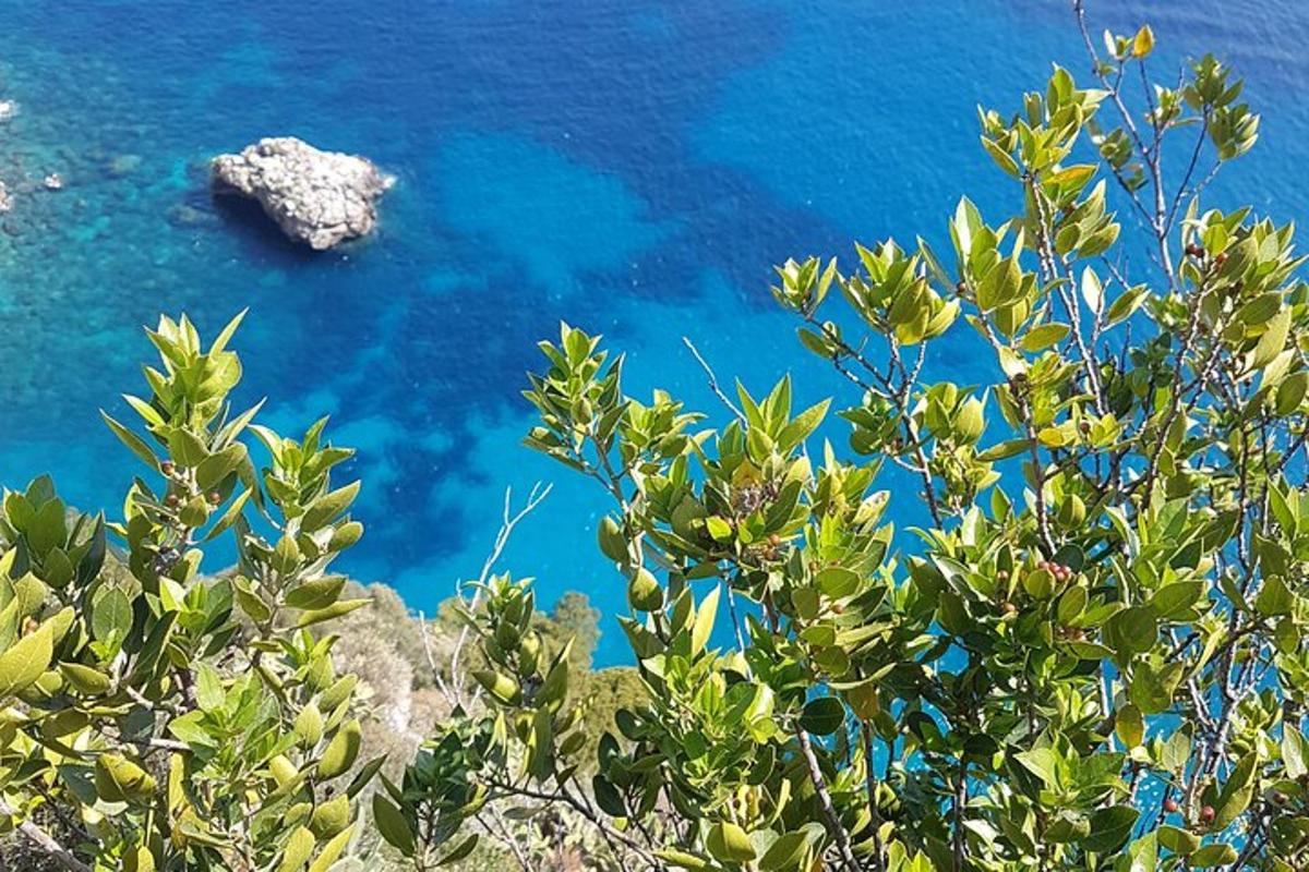 pogled na modri ocean izza rastline