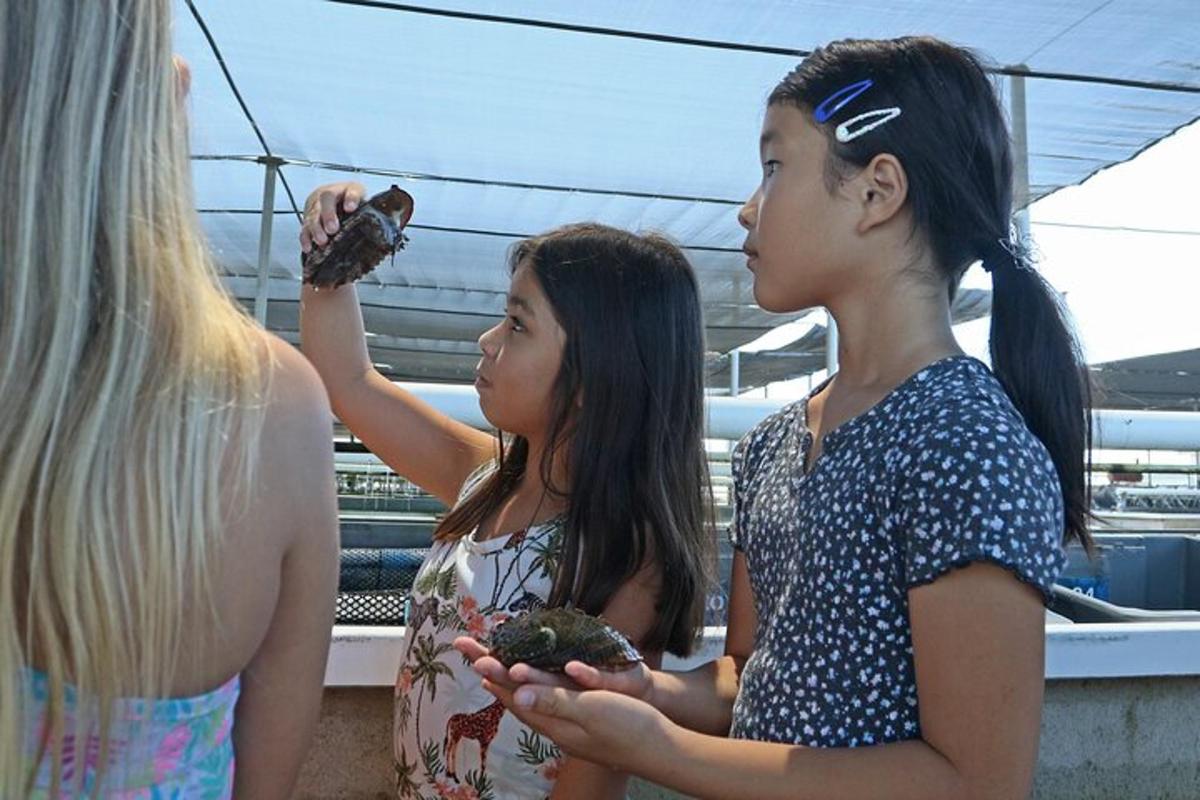 a group of girls standing next to each other