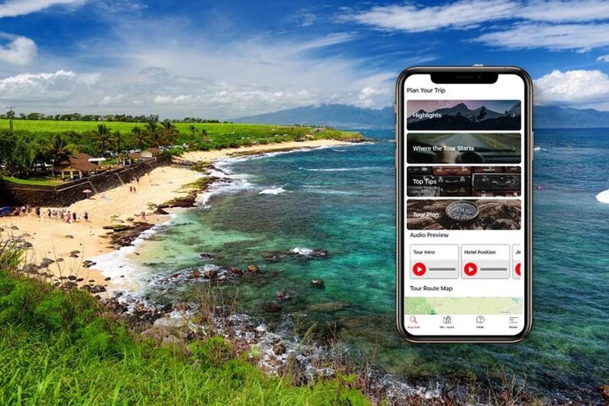 a cell phone taking a picture of a beach