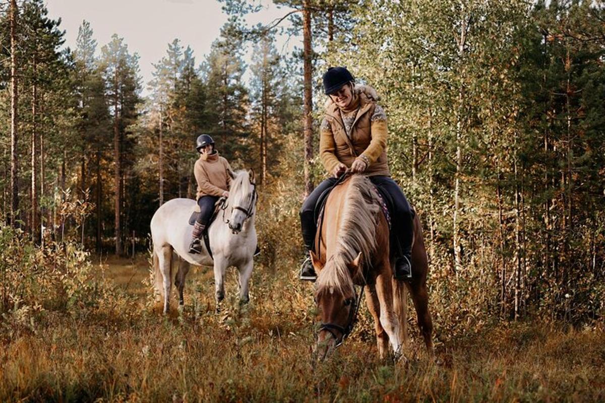 kaksi ihmistä ratsastaa hevosilla pellolla