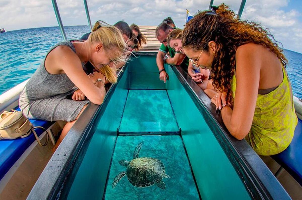 a group of people looking at a turtle in the water