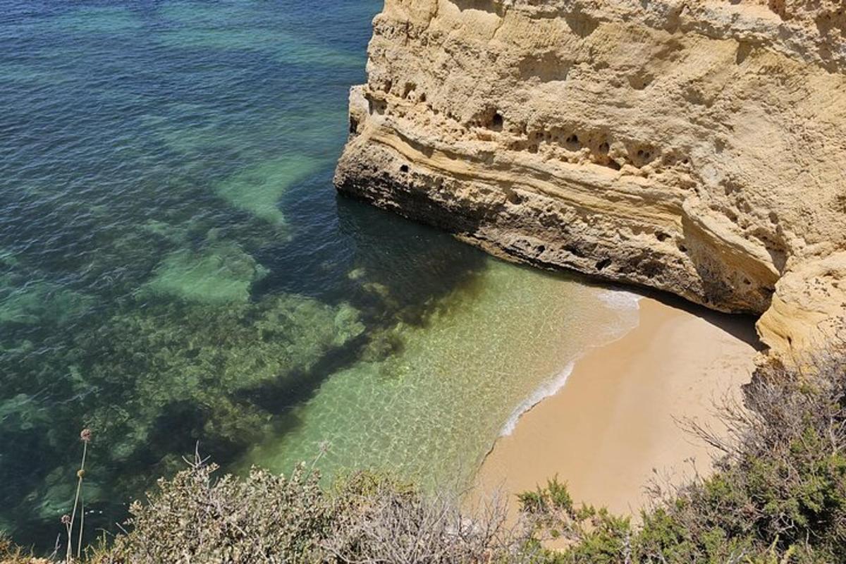 una vista di una spiaggia accanto a una scogliera