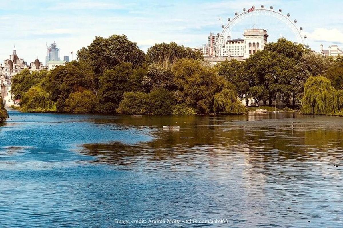 ein Blick auf einen Fluss mit einem Riesenrad im Hintergrund