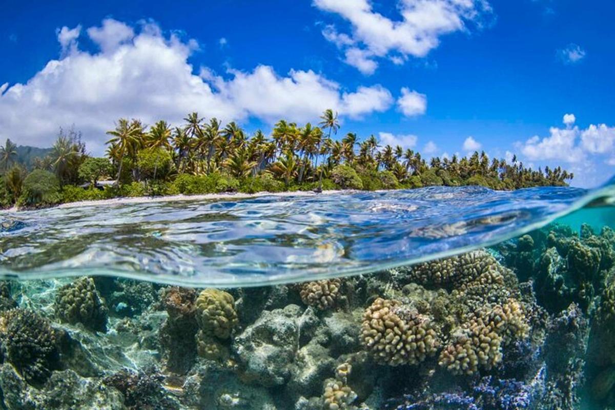 an island over a coral reef in the ocean