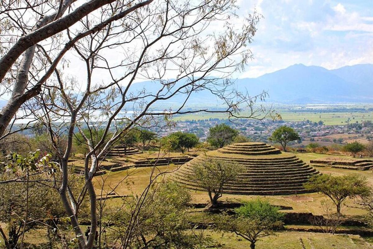 Una gran estructura piramidal en un campo con árboles.