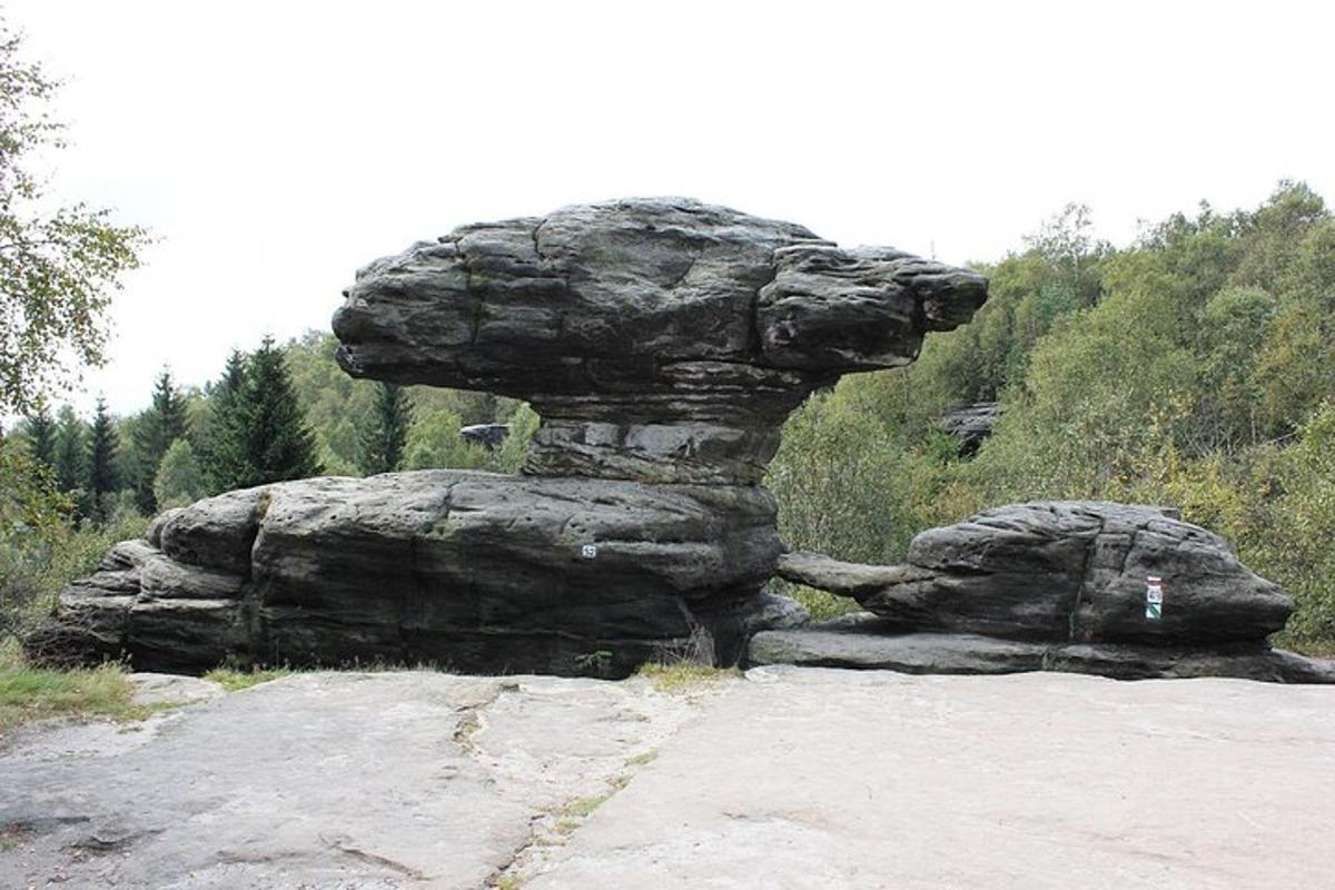 kaljust kuju, millel on nägu