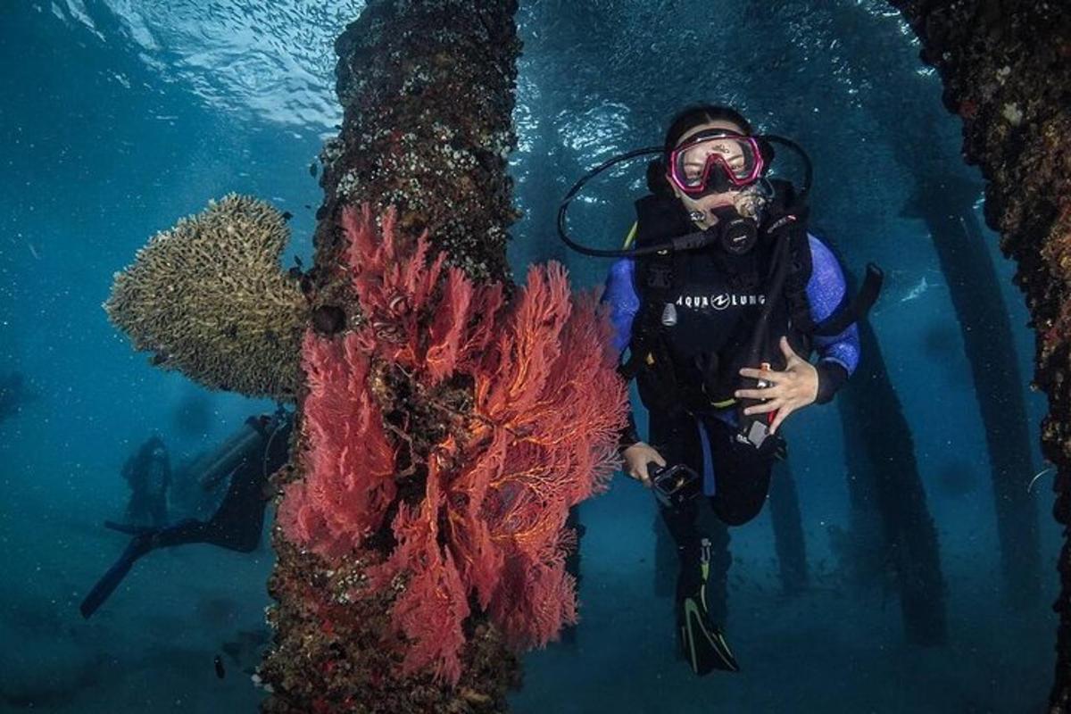 Lankytinos vietos ar pramogos nuotrauka numeris 1