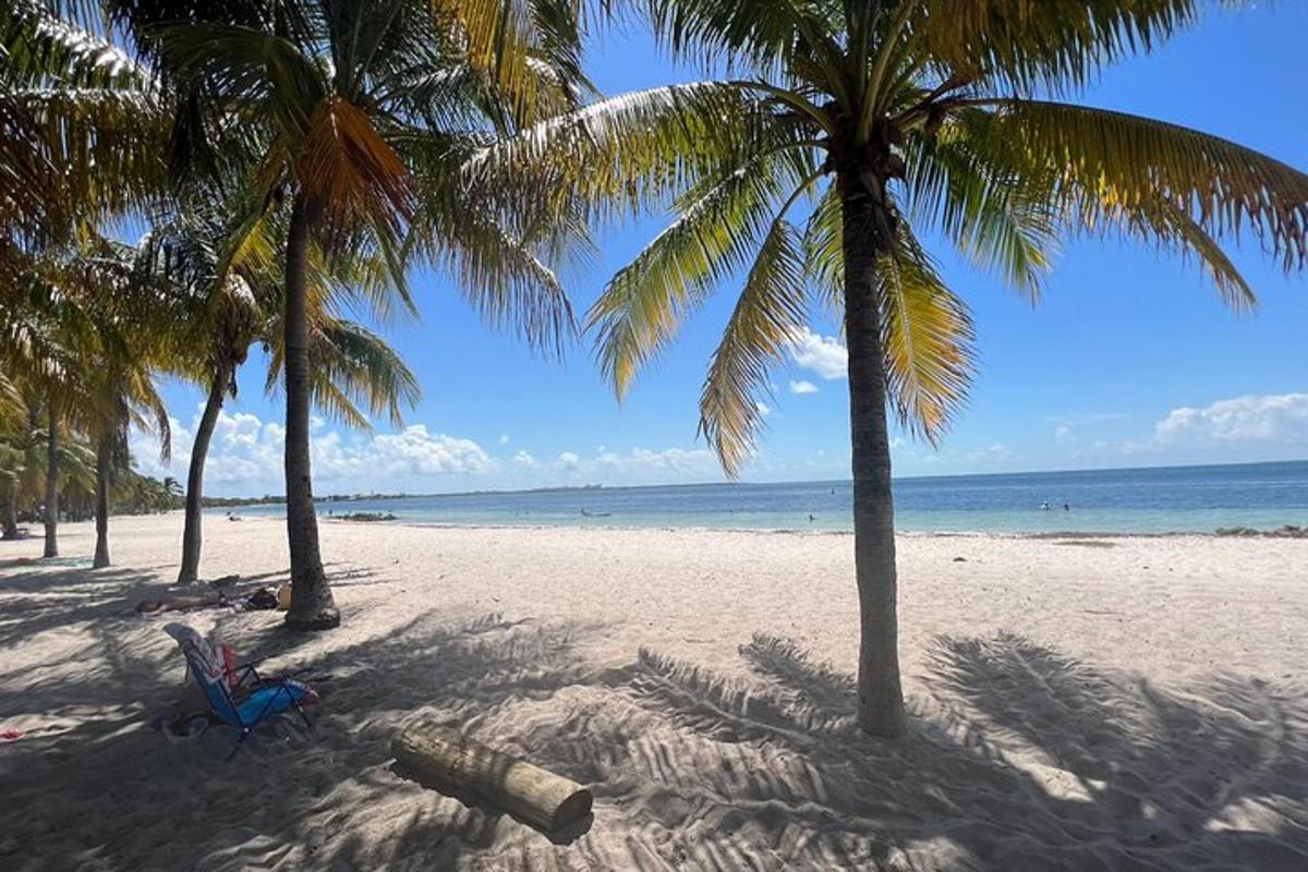 a beach with palm trees and a chair on the sand