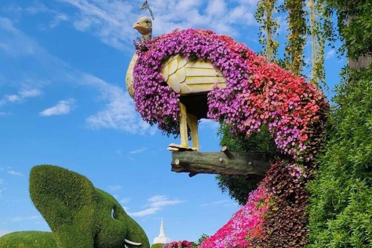 Attraction picture 6