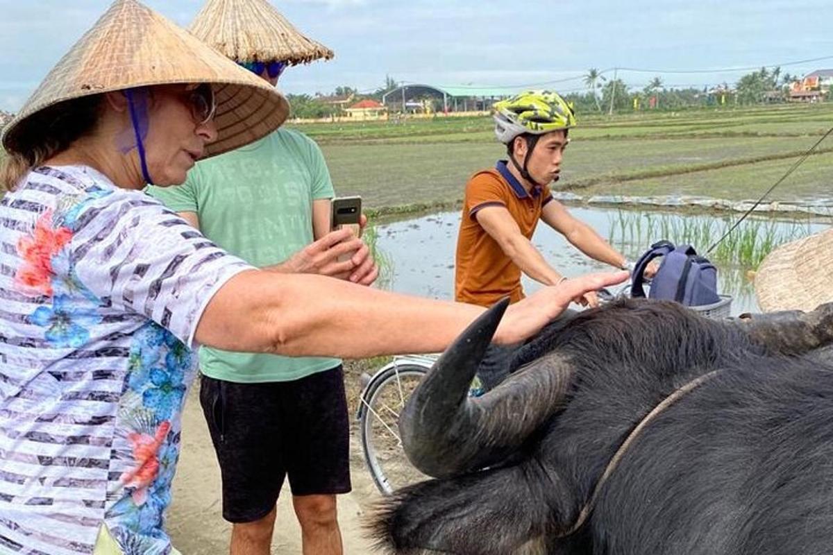 a woman is petting an elephant with its trunk