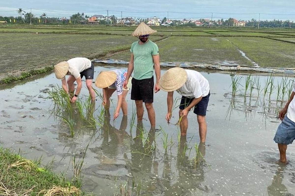 một nhóm người đang đứng trên một cánh đồng lúa