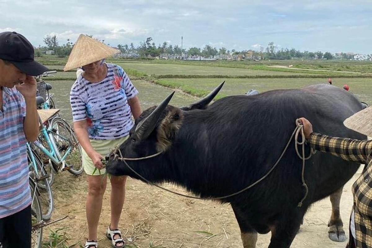 un uomo in piedi accanto a una grande mucca nera