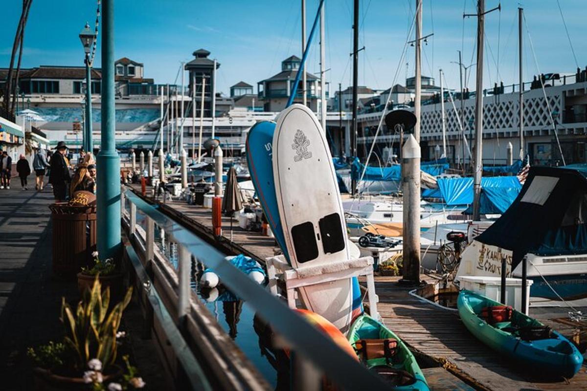 un gruppo di barche attraccate in un porto turistico