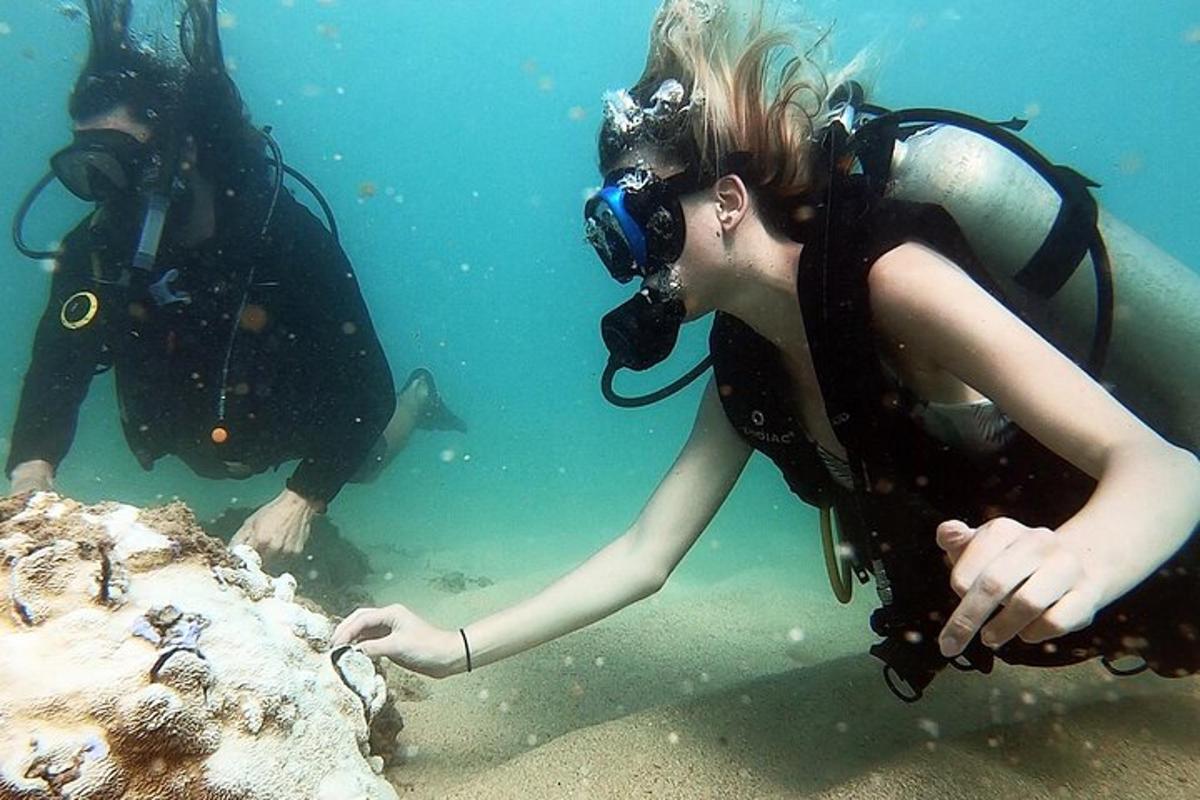 two people are diving in the water
