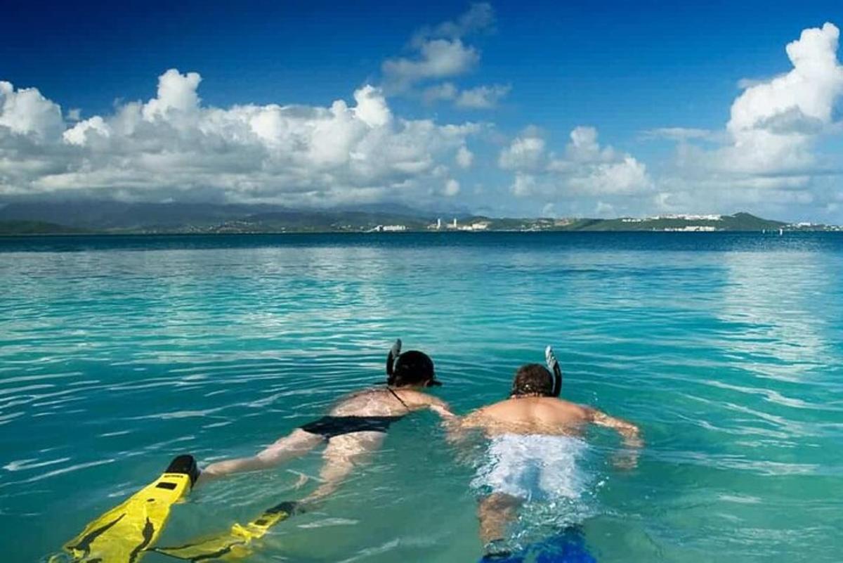 to personer som svømmer i vannet i havet
