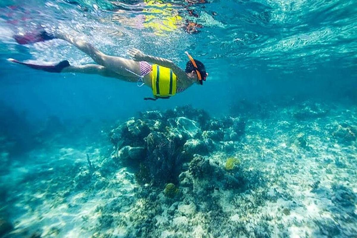ένα άτομο που κολυμπάει στο νερό κοντά σε έναν ύφαλο