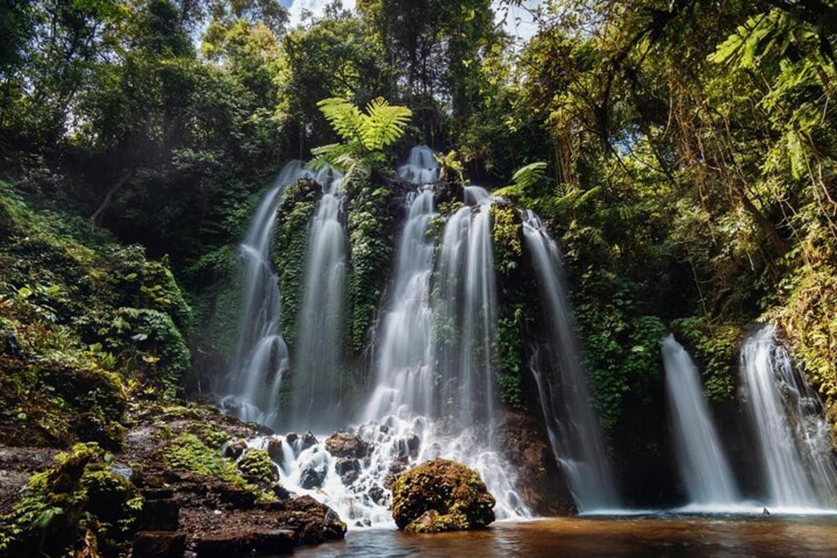 air terjun di tengah-tengah hutan