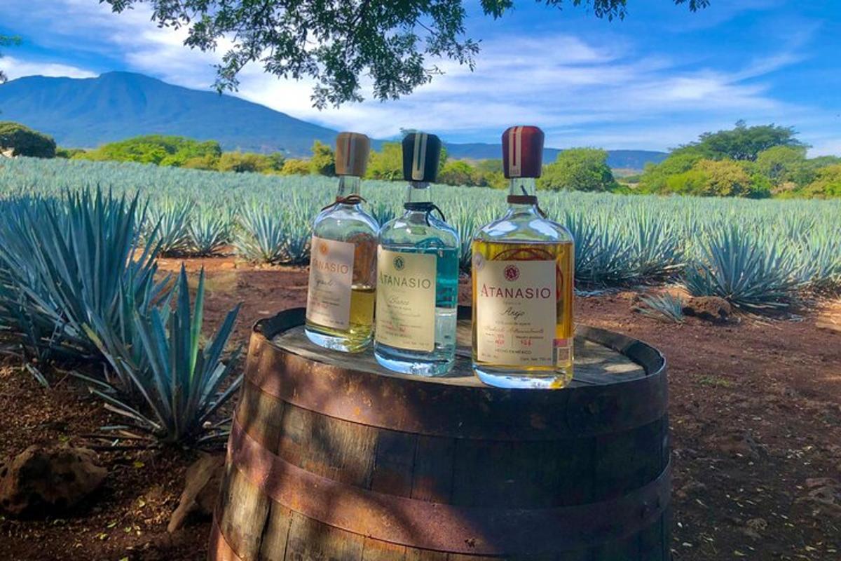 tre bottiglie di whisky appoggiate sopra una botte