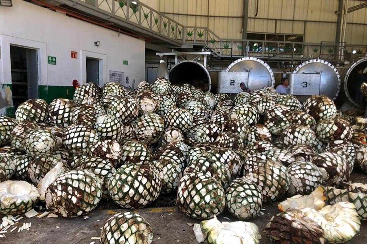 ein großer Haufen Ananas in einem Lagerhaus
