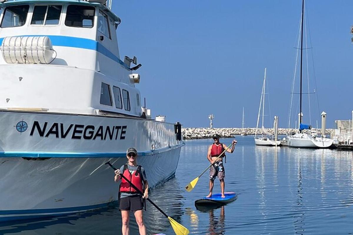 Dos personas en tablas de paddle surf delante de un barco