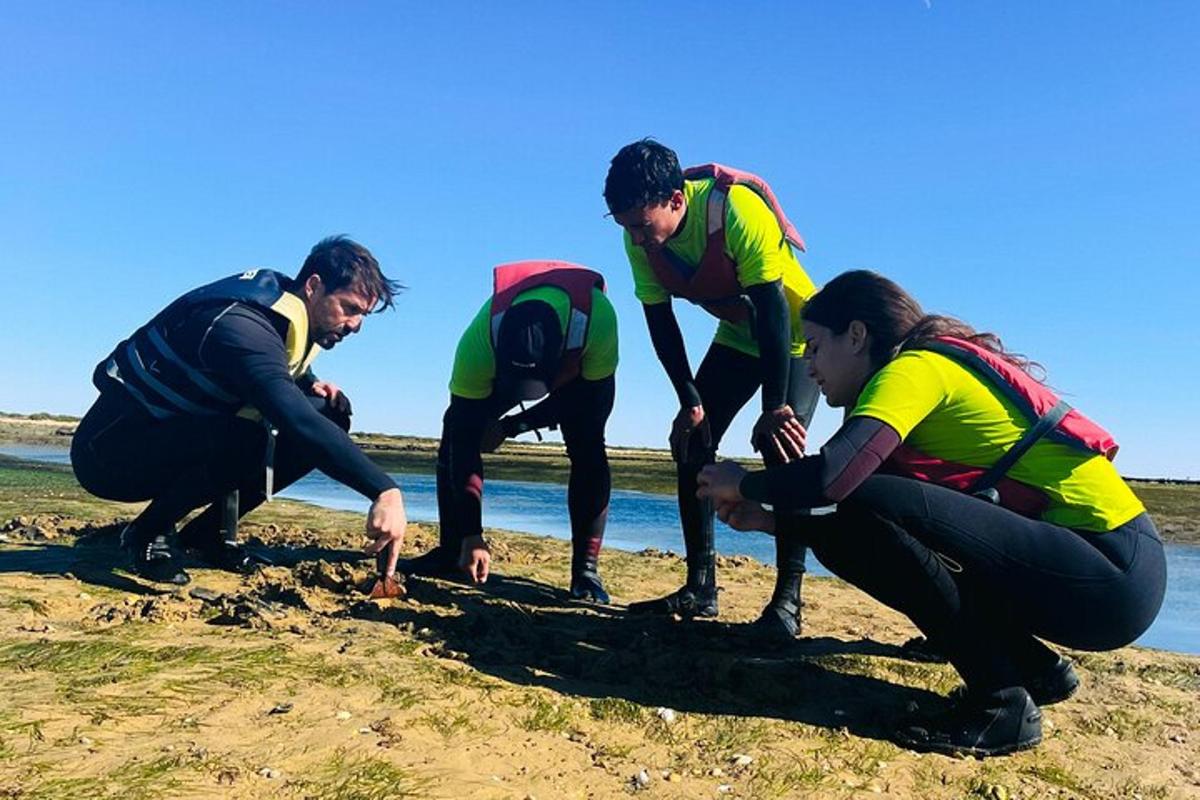 hópur fólks að planta í sandinn á ströndinni