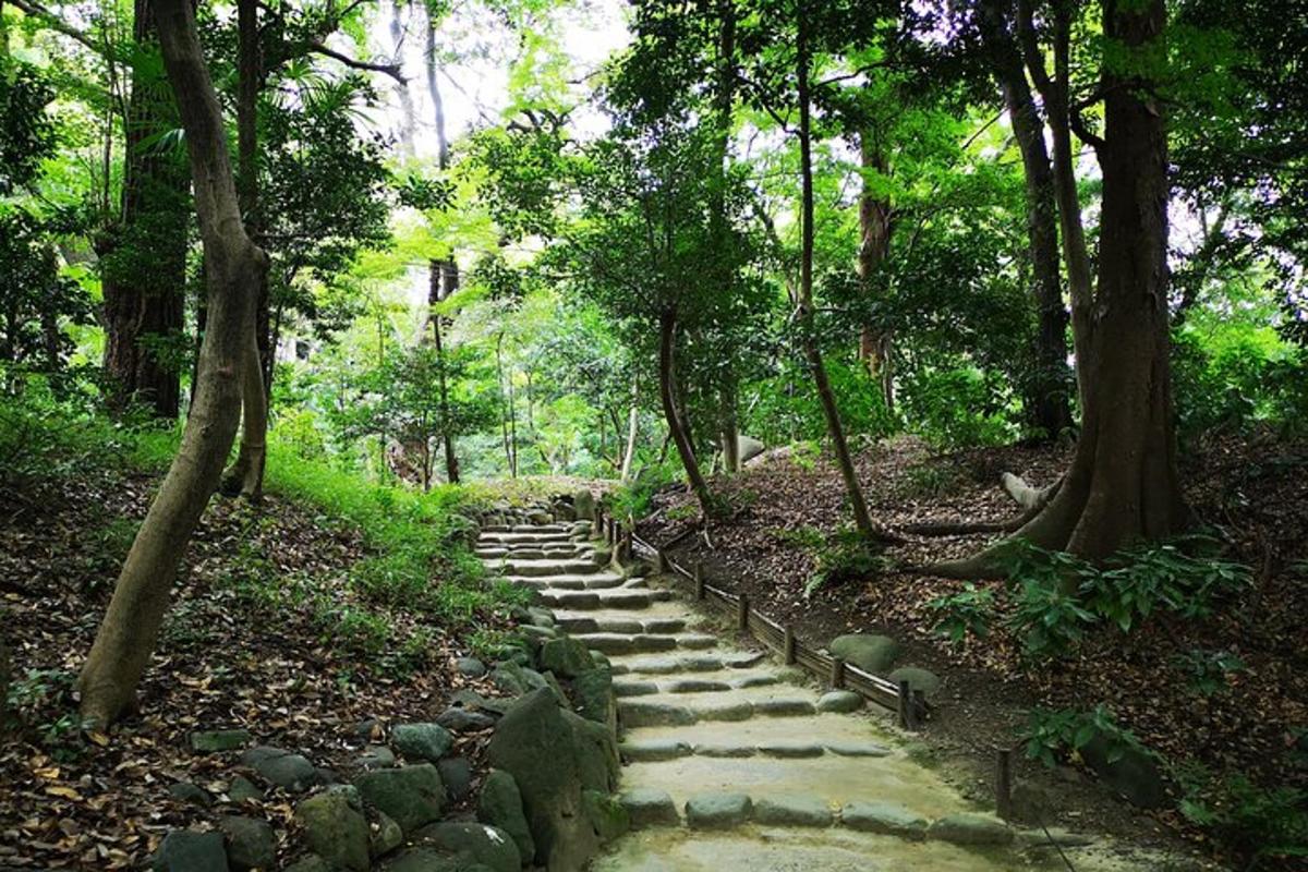 a stone path in the middle of a forest