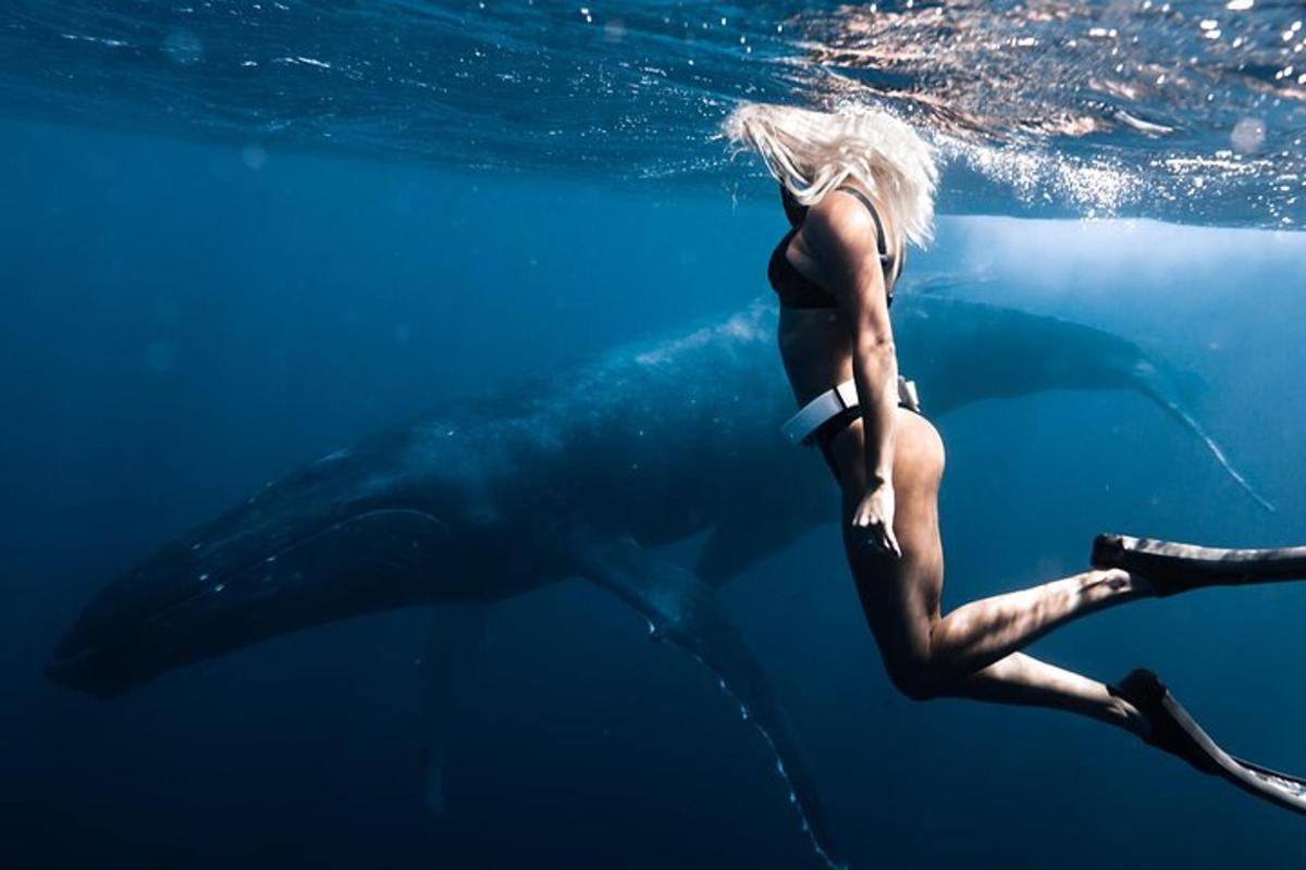 eine Frau im Wasser mit einem Buckelwal