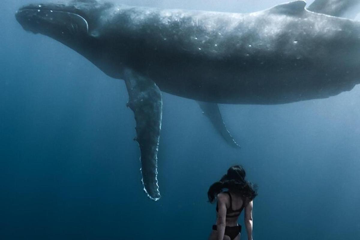 eine Frau steht neben einem Wal im Wasser
