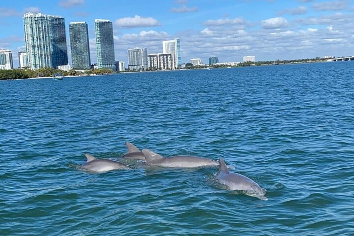 three dolphins in the water with a city in the background