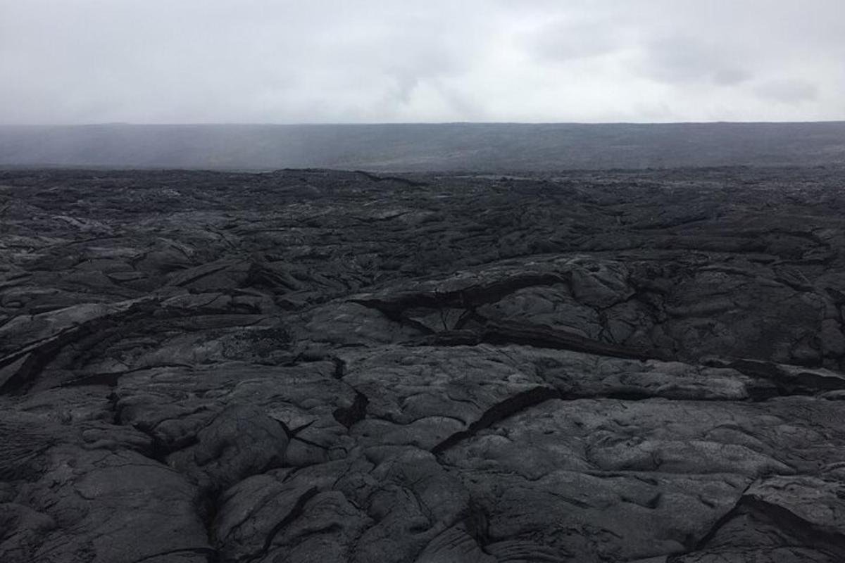 Ljósmynd af afþreyingu 5