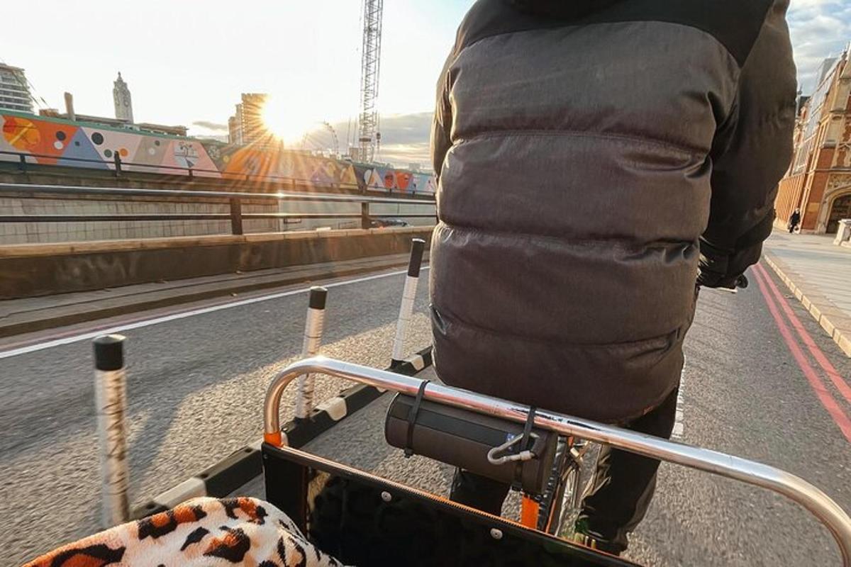 una persona que va en bicicleta amb un gos en un carretó