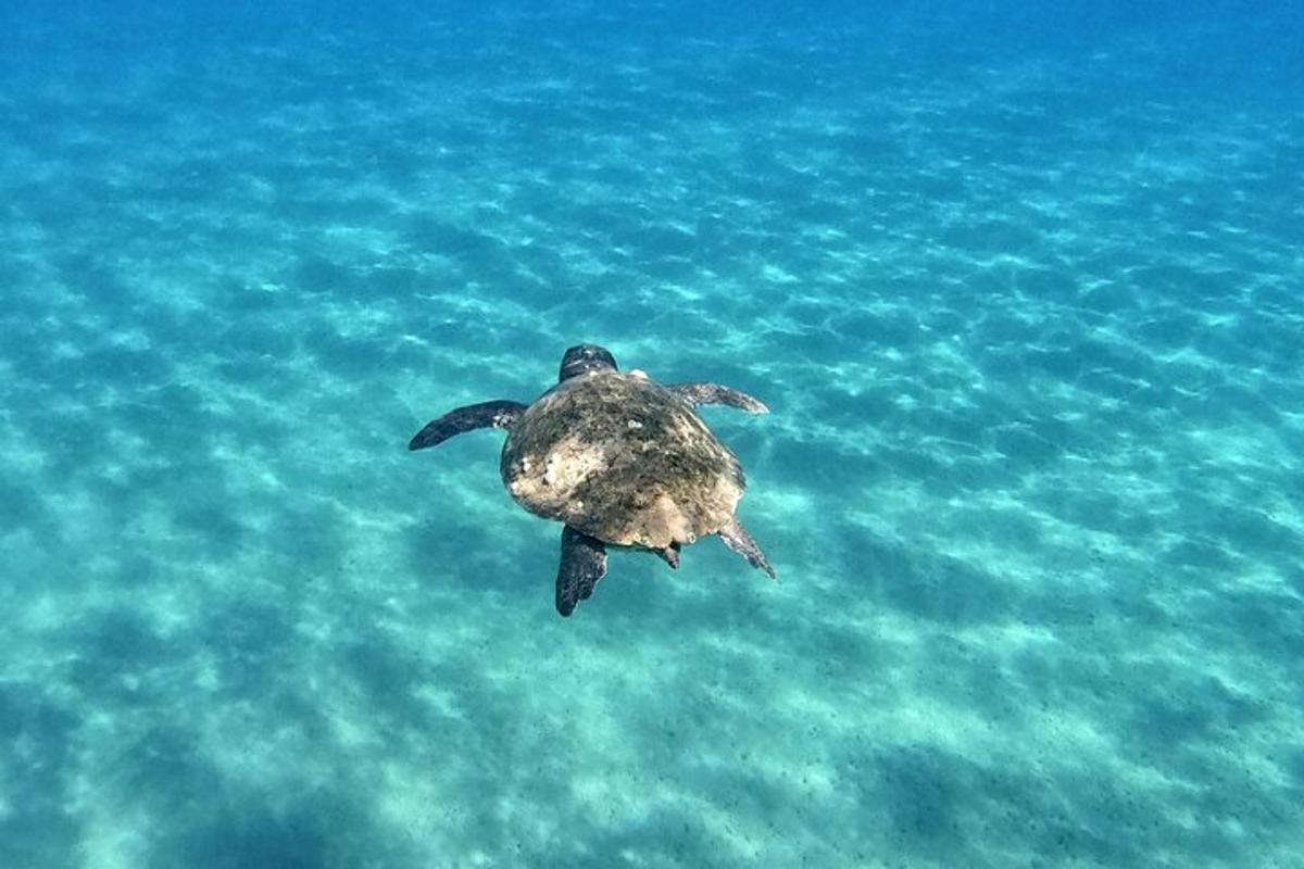 Lankytinos vietos ar pramogos nuotrauka numeris 6