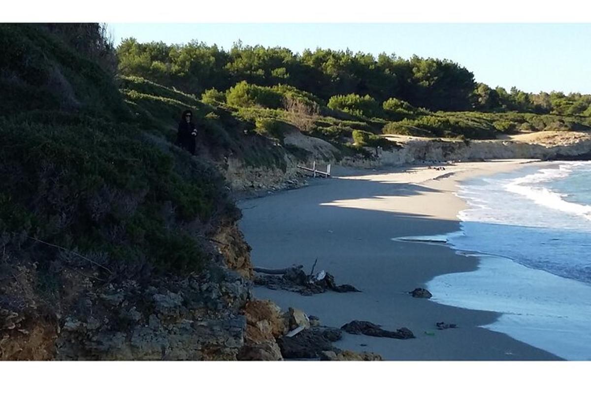 Una vista de una playa desde una colina con el océano.