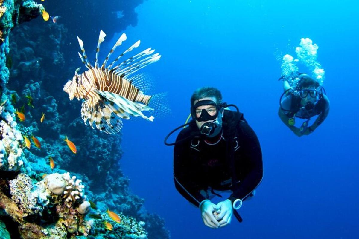 a diver in the water next to some fish