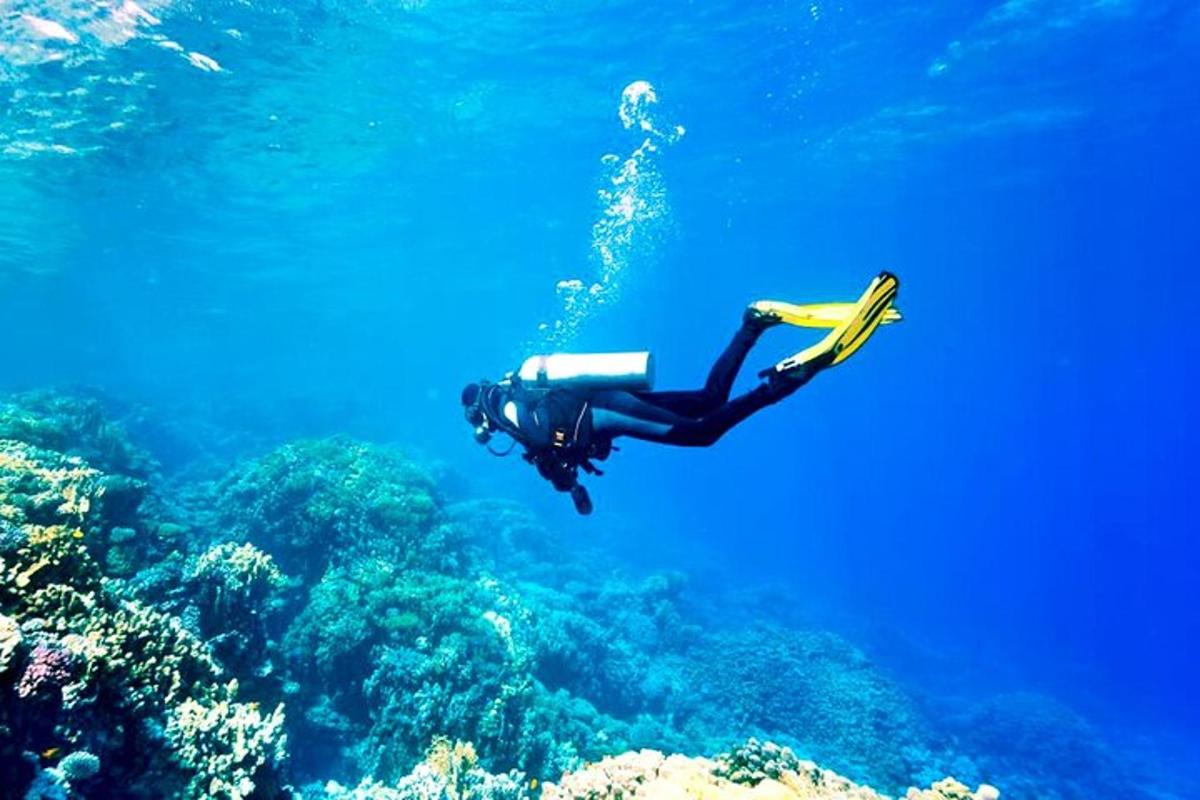 člověk v oceánu dívající se na útesy