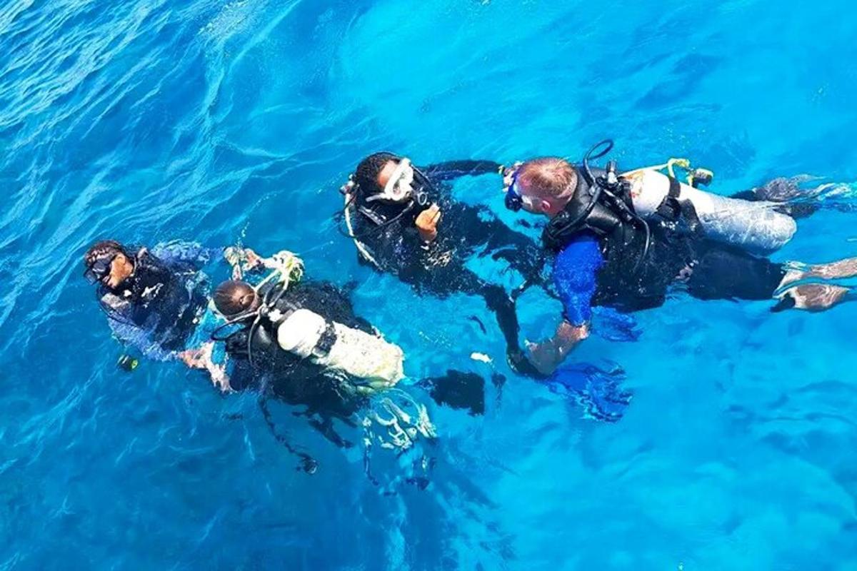 a group of people swimming in the water
