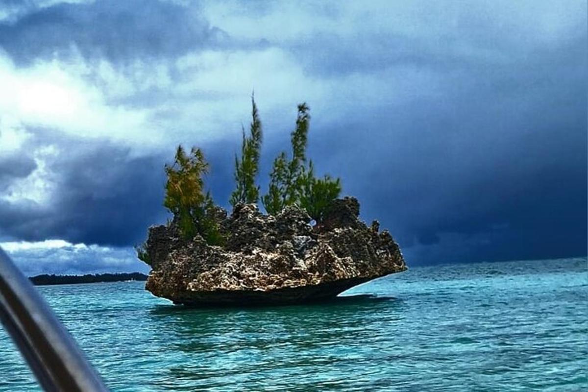una roccia nell'acqua con una pianta sopra
