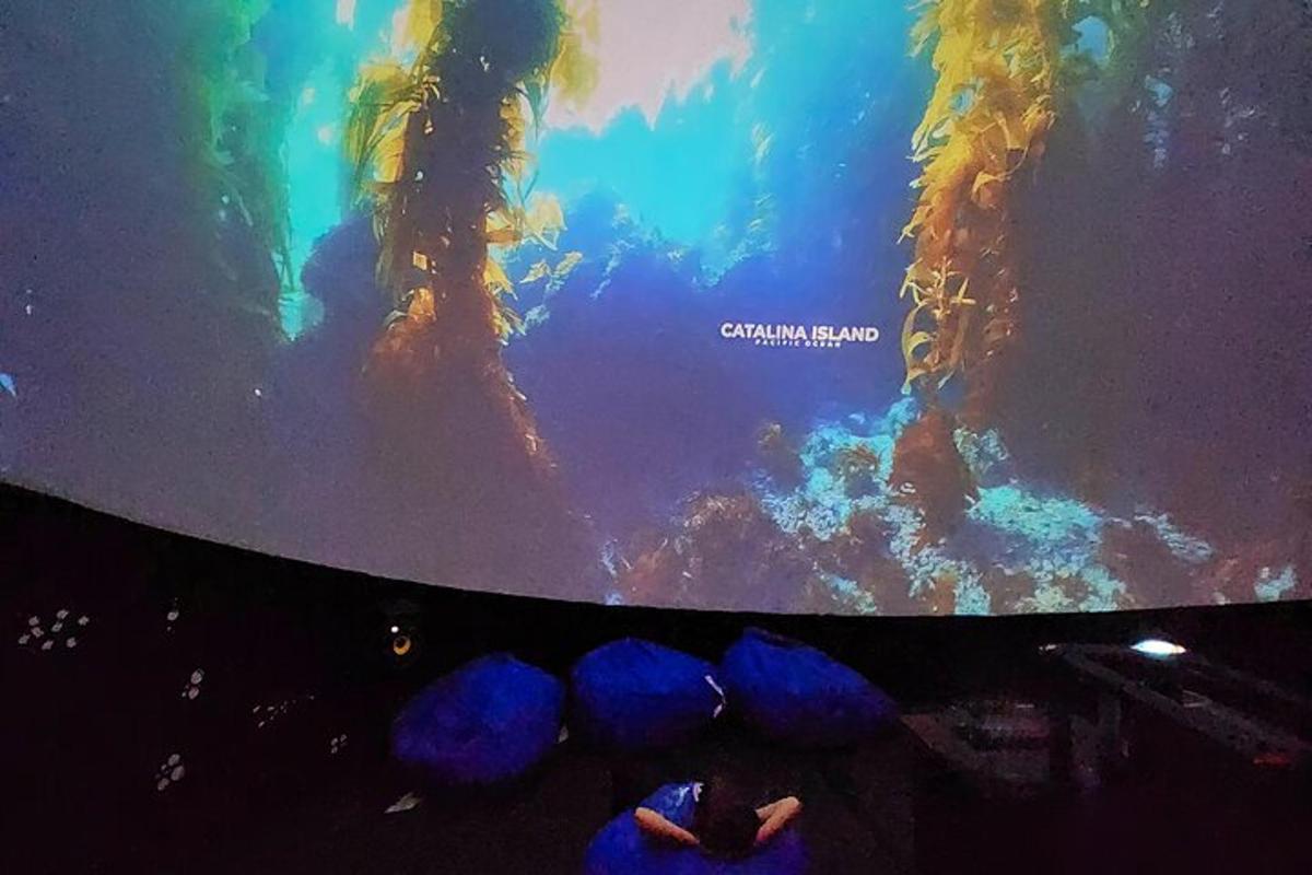 a tv screen with a picture of an aquarium