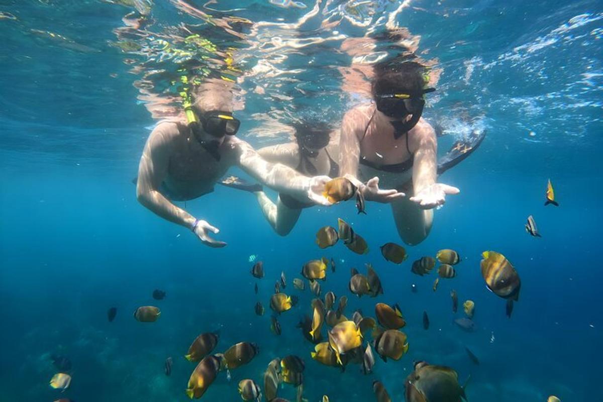 dua orang berenang di air bersama ikan