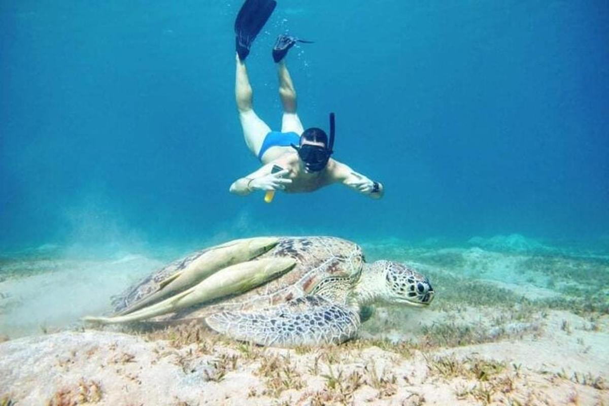 una persona che si immerge nell'oceano accanto a una tartaruga marina